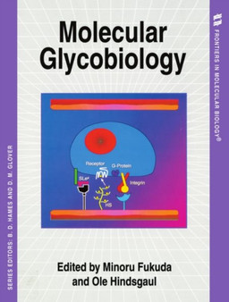 Molecular Glycobiology : 4 by Minoru Fukuda - Paperback