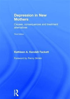 Depression in New Mothers : Causes, Consequences and Treatment Alternatives by Kathleen Kendall-Tackett - Hardback