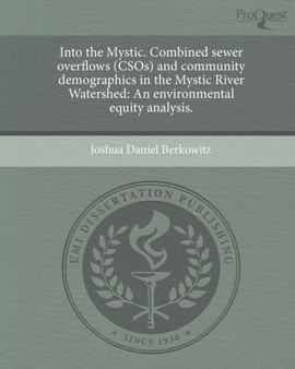 Into the Mystic by Joshua Daniel Berkowitz - Paperback