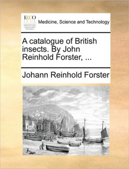 A Catalogue of British Insects. by John Reinhold Forster, ... by Johann Reinhold Forster - Paperback