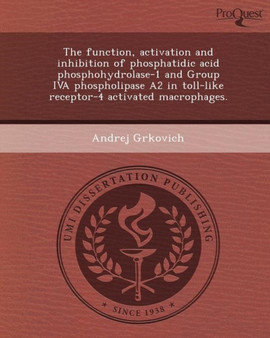 The Function by Andrej Grkovich - Paperback