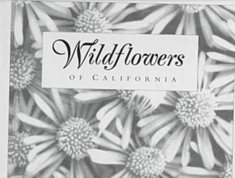 Wildflowers of California by Susan Lamb - Hardback