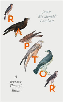 Raptor : A Journey Through Birds by James Macdonald Lockhart - Hardback