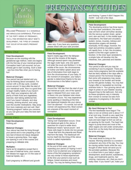 Pregnancy Guides : Stages of Pregnancy Development by Jyoti Baluran - Paperback