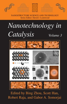 Nanotechnology in Catalysis 3 by Bing Zhou - Paperback