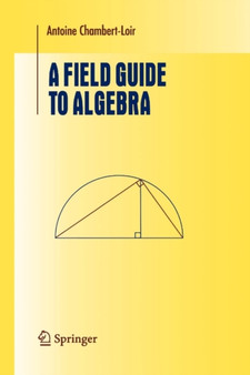 A Field Guide to Algebra by Antoine Chambert-Loir - Paperback