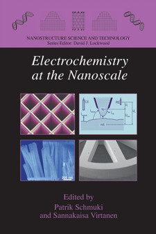 Electrochemistry at the Nanoscale by Patrik Schmuki - Paperback