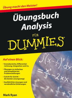 Ubungsbuch Analysis Fur Dummies by Mark Ryan - Paperback