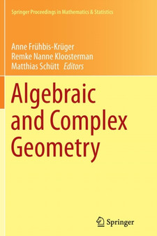 Algebraic and Complex Geometry : In Honour of Klaus Hulek's 60th Birthday : 71 by Anne Fruhbis-Kruger - Paperback