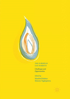 The European Gas Markets : Challenges and Opportunities by Manfred Hafner - Paperback
