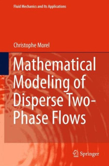 Mathematical Modeling of Disperse Two-Phase Flows : 114 by Christophe Morel - Hardback