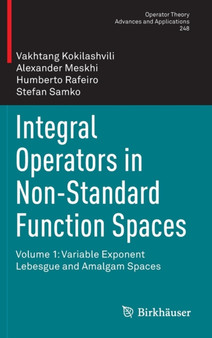 Integral Operators in Non-Standard Function Spaces : Volume 1: Variable Exponent Lebesgue and Amalgam Spaces : 248 by Vakhtang Kokilashvili - Hardback