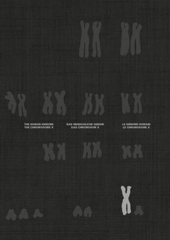 The Chromosome X and the Human Genome by Ernst Hafen - Hardback
