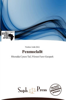 Penmoelallt by Noelene Aoide - Paperback