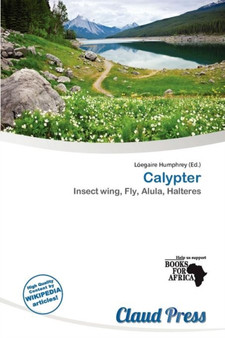 Calypter by L Egaire Humphrey - Paperback