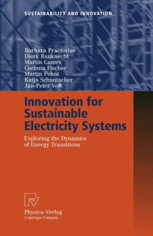 Innovation for Sustainable Electricity Systems : Exploring the Dynamics of Energy Transitions by Barbara Praetorius - Paperback