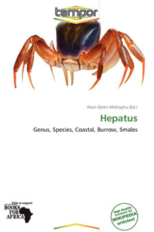 Hepatus by Alain Soren Mikhayhu - Paperback