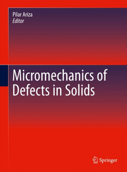 Micromechanics of Defects in Solids by Pilar Ariza - Hardback
