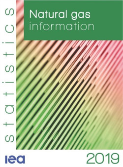Natural Gas Information 2019 by International Energy Agency - Paperback