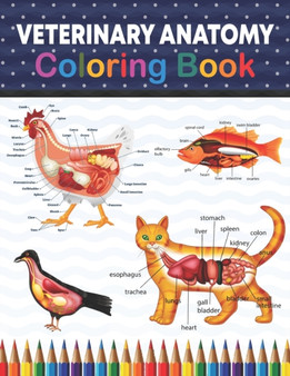 Veterinary Anatomy Coloring Book : Animal Anatomy and Veterinary Physiology Coloring Book. The New Surprising Magnificent Learning Structure For Veterinary Anatomy Students. by Rambaumniel Publication - Paperback