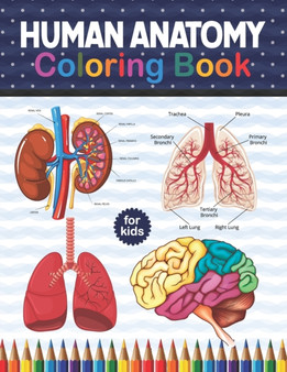Human Anatomy Coloring Book For Kids : Human Body Anatomy Coloring Book For Kids, Boys and Girls and Medical Students. Human Brain Heart Liver Coloring Book. Anatomy Coloring Book for kids. Human Body by Shirkaylene Publication - Paperback