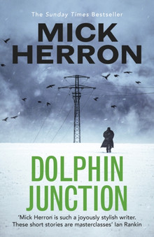 Dolphin Junction by Mick Herron - Paperback