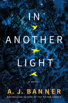 In Another Light : A Novel by A.J. Banner - Paperback