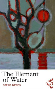 The Element of Water by Stevie Davies - Paperback