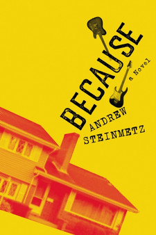 Because : A Novel by Andrew Steinmetz - Paperback