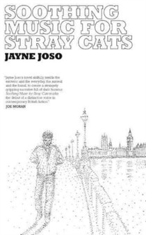 Soothing Music for Stray Cats by Jonathan Hicks - Paperback