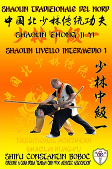 Shaolin Tradizionale del Nord Vol.5 : Livello Avanzato - Xiong Shi : 5 by Bernd Hoehle - Paperback