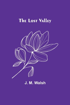 The Lost Valley by J M Walsh - Paperback