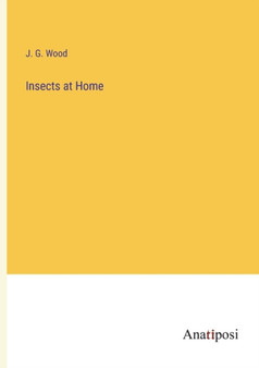 Insects at Home by J G Wood - Paperback