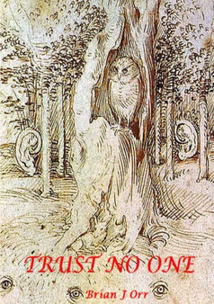 Trust No One by Brian J Orr - Paperback