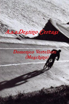 A.A.A.Destino Cercasi by Domenico Vercellotti - Paperback