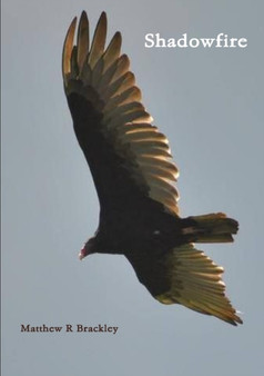 Shadowfire by Matthew R Brackley - Paperback