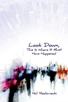 Look Down, This is Where It Must Have Happened by Hal Niedzviecki - Paperback