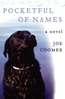 Pocketful Of Names by Joe Coomer - Paperback