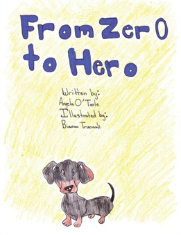 From Zero to Hero by Angela T O'Toole - Paperback