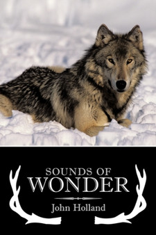 Sounds of Wonder by John Holland - Paperback