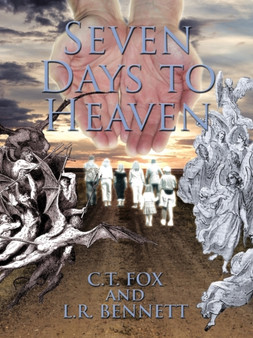 Seven Days to Heaven by C.T. Fox - Paperback