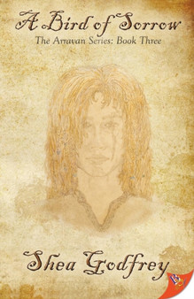 A Bird of Sorrow : 3 by Shea Godfrey - Paperback