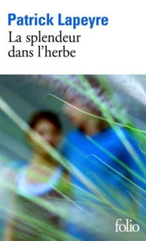La splendeur dans l'herbe by Patrick Lapeyre - Paperback