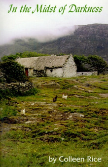 In the Midst of Darkness by Colleen Rice - Paperback