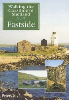Eastside : Eastside No. 7 by Peter Guy - Paperback