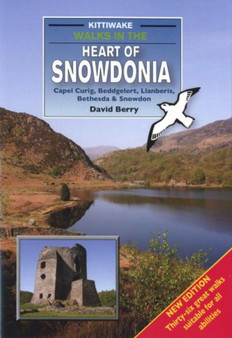 Walks in the Heart of Snowdonia by David Berry - Paperback