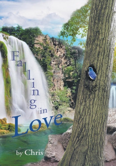 Falling in Love by Hunt Chris - Hardback