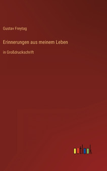 Erinnerungen aus meinem Leben : in Grossdruckschrift by Gustav Freytag - Hardback