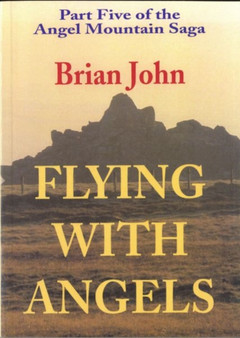 Flying with Angels : Pt. 5 by Brian John - Paperback