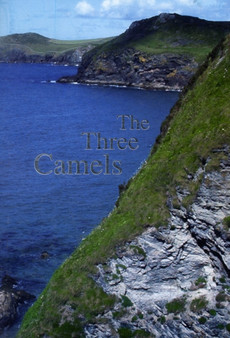 The Three Camels by David C. Bourne - Paperback